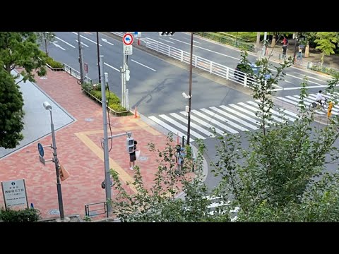 緊急車両Live お盆も今日で最終日！お帰りなさい　Tokyo view.