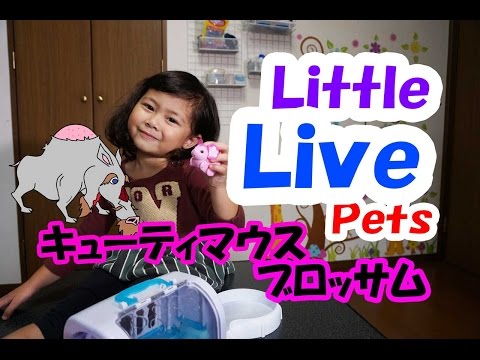 Ｌｉｔｔｌｅ　Ｌｉｖｅ　Ｐｅｔｓ（リトルライブペッツ）キューティマウス　ブロッサムの紹介+赤い仮面マン　メルパパ　イノジジィ呼ぶ！