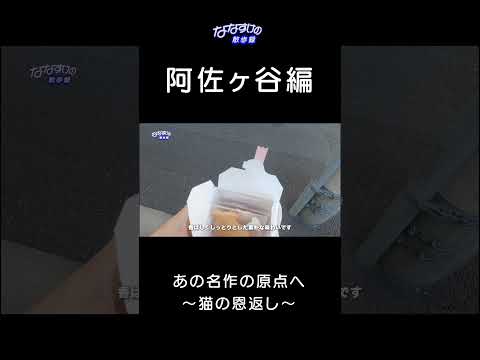 【ジブリ】猫の恩返しの"お魚クッキー"は実在した！ #shorts #ジブリ #散歩