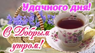 ☕️ Доброе Утро! 🌸 Желаю солнечного дня и чудесного настроения! Красивые пожелания Доброго Утра