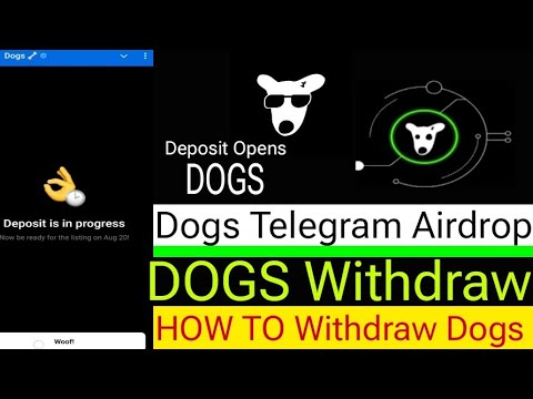 DOGS Withdraw In ByBit || Dogs Claim Start || How To Withdraw Dogs || Telegram Airdrop Dogs