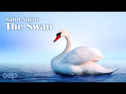 Saint-Saëns - The Swan (Le Cygne) | Violin & Orchestra | Classical Music | MIDI Visualizer 4K