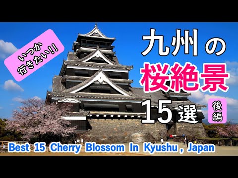 Best 15 Cherry Blossom (Sakura) in Kyushu, Japan Part 2 / Kumamoto, Miyazaki and Kagoshima