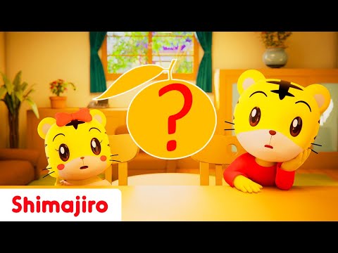 What fruit is it? 🍎🍌🍊 | Colours & Shapes with Shimajiro | Interactive songs for Kids