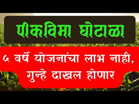 पीकविमा घोटाळा, कारवाईसाठी शासनाला कृषी आयुक्तालयाचा प्रस्ताव || Pikvima yojana