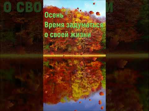 Красивая Христианская осенняя песня #деньжатвы #деньблагодарения #жатва