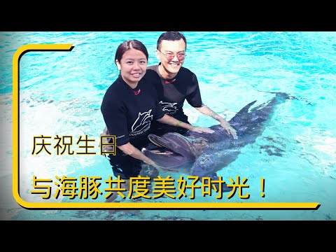 和老婆海豚共度生日美好时光！新加坡海豚园 Singapore Dolphin Island | Adventure Cove Waterpark | Ahmiao Tv