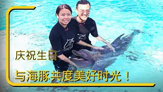 和老婆海豚共度生日美好时光！新加坡海豚园 Singapore Dolphin Island | Adventure Cove Waterpark | Ahmiao Tv