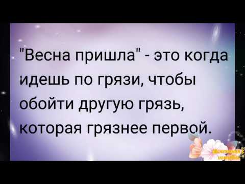 Юмор.Весна пришла.Анекдоты.Веселая открытка для позитива.Приколы.