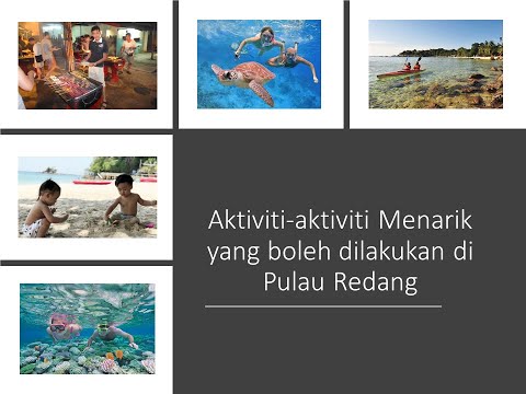 Bina Ayat -Aktiviti-aktiviti Menarik Yang Boleh Dilakukan di Pulau Redang