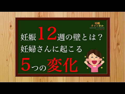 【妊娠12週】妊婦さんに起こる5つの変化 と 12週の壁 とは？