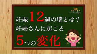 【妊娠12週】妊婦さんに起こる5つの変化 と 12週の壁 とは？