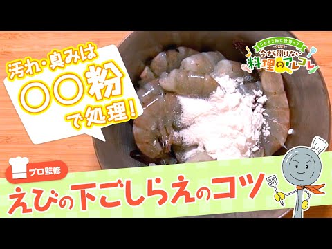 【プロ監修】vol.49 えびの下ごしらえのコツ【料理の基本】