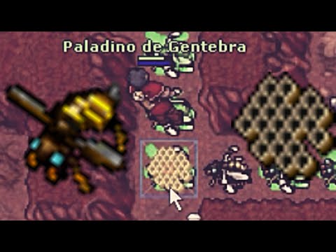 Gold Free ACC e Low Level com Honeycombs (Tibia Global)