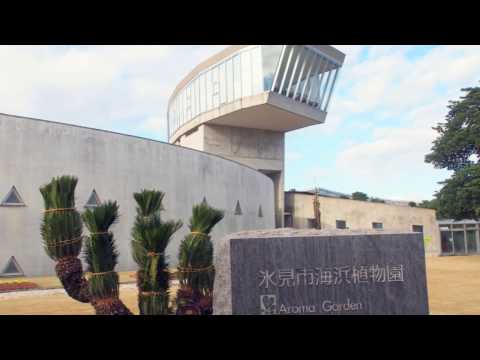 氷見市海浜植物園　2016.12.5