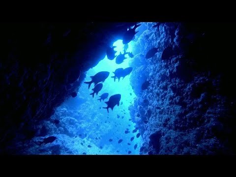 Freediving - Great Drop Off! - Okinawa, Houseshou, May 2015