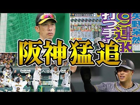 【とらほー】借金16の阪神が2位に巻き返すことができた理由を徹底解説