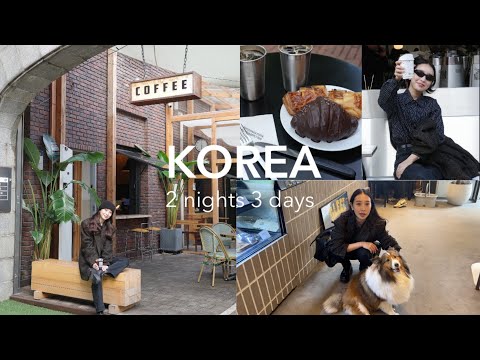 【韓国VLOG】旅は道連れ、世は情け🇰🇷カフェ/タッカンマリ/お酒🍺/とにかく最高に楽しかった２泊３日の韓国女子旅ーー！