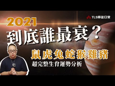 2021比犯太歲還衰的是誰? 辛丑牛年生肖運勢分析｜鼠虎兔蛇猴雞豬