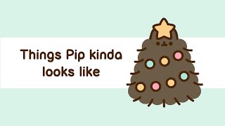 Pusheen: Things Pip Kinda Looks Like