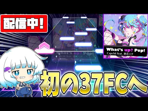 【プロセカ】what's up? pop!とそろそろ向き合います。 Part6