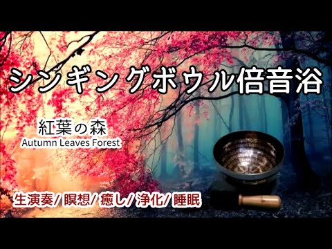 【シンギングボウル倍音浴】《紅葉の森》生演奏   瞑想   癒し   浄化   睡眠    174Hz ・285Hz・417Hz