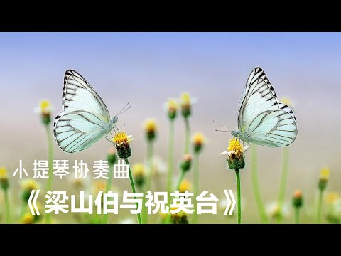 小提琴协奏曲《梁祝》，民族音乐与西方交响乐的完美融合 | Relaxing violin music | 好聽的中國古典音樂 深睡音樂 安靜音樂 瑜伽音樂 轻柔安静的音乐