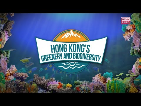 Hong Kong's Greenery & Biodiversity - Day and Night of Tai Tam Country Park