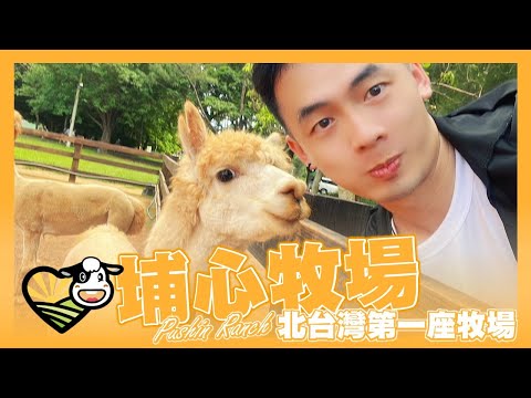 桃園 埔心牧場 Pushin Ranch｜北台灣第一座牧場