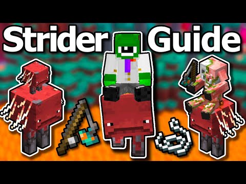 Ultimate Minecraft 1.20 Strider Guide - How To Ride Striders Fast, Breeding, Warped Fungus