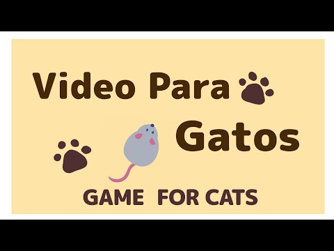 Video para gatos  20 minutos