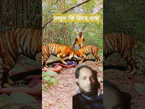 মানুস কি ভাবে খায়#funnyanimal #video #funny