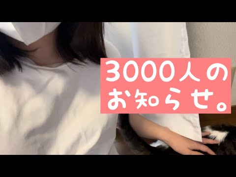 登録者3000人を記念してお知らせ