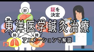 東洋医学鍼灸治療〜アニメーションで分かりやすく解説〜