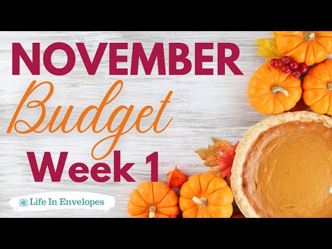 Budget Weekly Check In / Low Income / The Budget Mom / Life In Envelopes Stickers