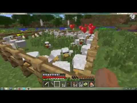 Minecraft - Feeding the Chickens