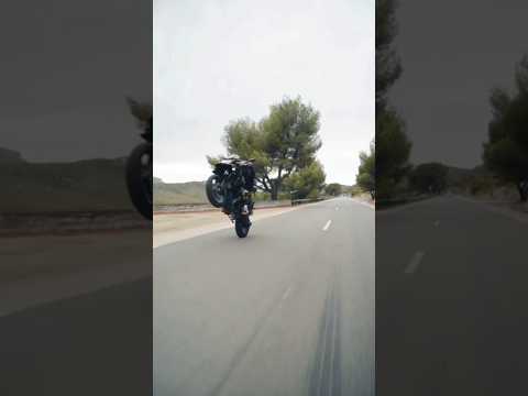 Bmw 1250gs wheelie #viral #shorts #ytshort #uk07rider #jsfilms #jattprabhjot  #adventure #offroad