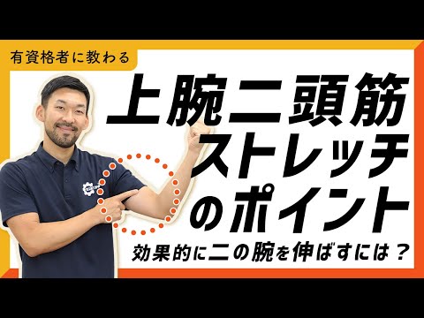 上腕二頭筋のストレッチ｜効果的に二の腕を伸ばすには？