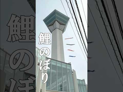 五稜郭タワー/こどもの日version #函館