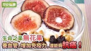 「生命之果」無花果，養血管、增加免疫力，還能夠抗癌！【早安健康】