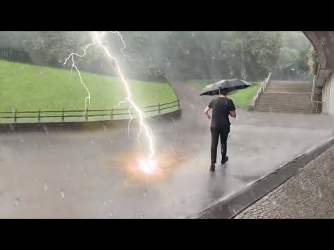 カメラが捉えた！超ラッキーな決定的瞬間映像