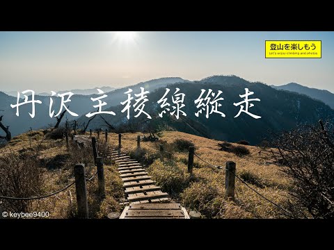 【日本百名山】丹沢主稜縦走登山｜檜洞丸｜蛭ヶ岳｜丹沢山｜塔ノ岳｜大倉尾根｜富士山｜夜景