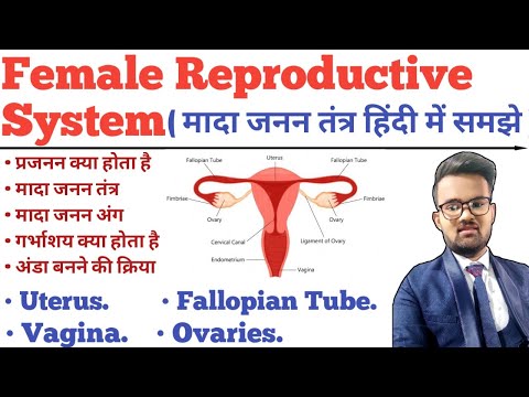 Female Reproductive System In Hindi | Menstrual Cycle | Uterus | Ovary | Fallopian Tube | Ovulation