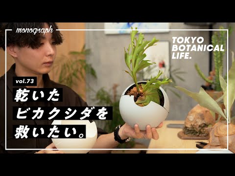 ビカクシダの育成が下手すぎるので、管理を劇的に楽にするグッズを作ってみた【TBL73】