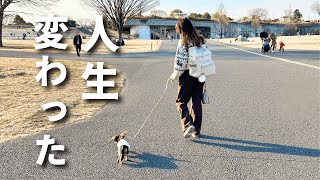 犬をお迎えしたら人生変わりました