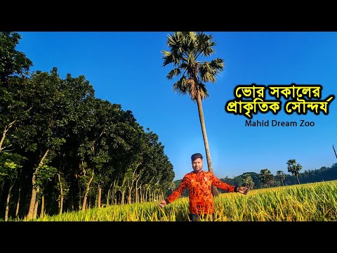 ভোর সকালের প্রাকৃতিক সৌন্দর্য দেখতে চলে এলাম প্রাকৃতিক পরিবেশে | The Natural Beauty Of Early Morning