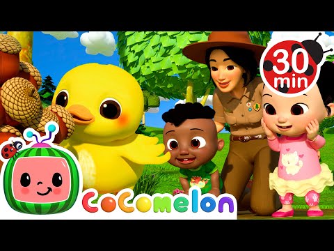 Cody and Cece Nature Walk Song | CoComelon Kids Songs & Nursery Rhymes