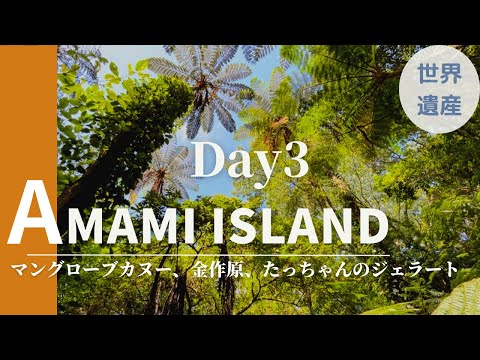 奄美大島 Vlog Day3｜マングローブカヌー、金作原、絶品ジェラート、鶏飯