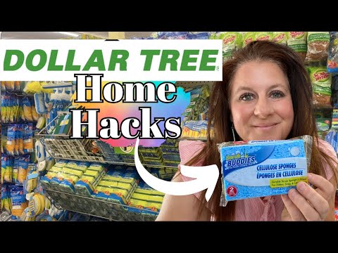 HOME HACKS Using DOLLAR TREE Sponges🔥