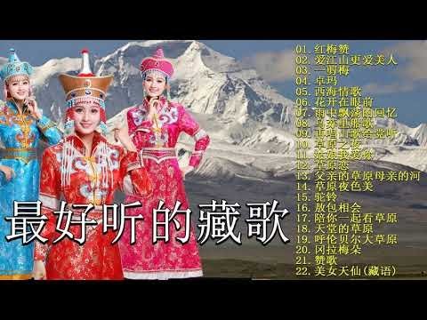 【中國藏歌】《爱江山更爱美人，姑娘我爱你，再唱山歌给党听，草原之夜，天籁之爱 ，雨中飘荡的回忆，乌苏里船歌》【经典老歌】西藏民歌 | Tibetan Chinese Songs